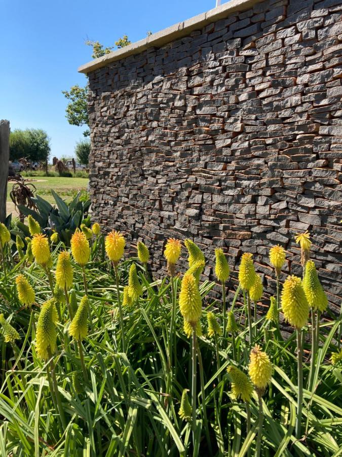 The Vaal Guesthouse Oranjeville Exterior photo